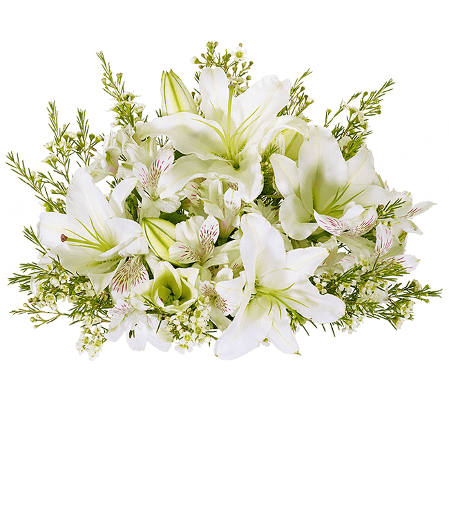 Partial image of White lilies, white alstroemeria and white wax flowers without vase