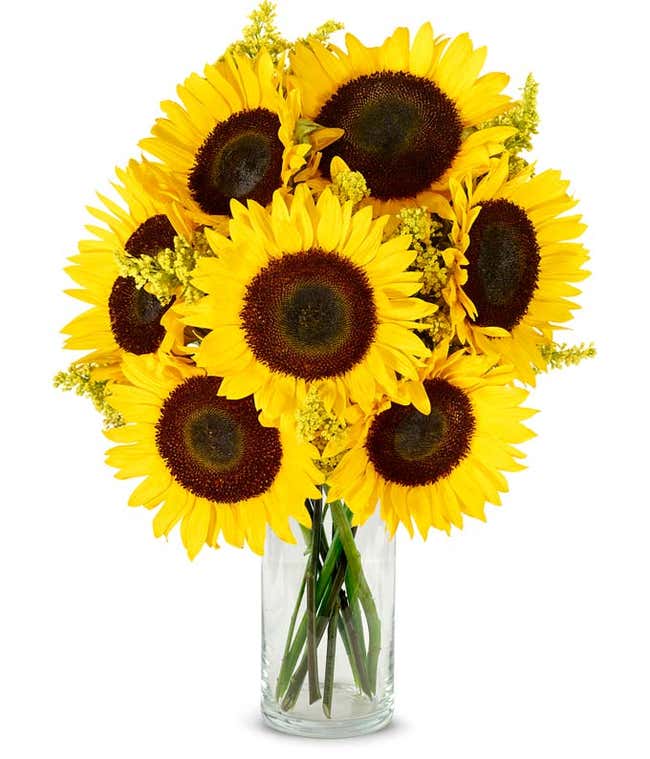 A vibrant arrangement featuring yellow sunflowers and golden solidago, optionally presented in a vase. This bright and cheerful display brings a touch of sunshine and warmth to any occasion. 