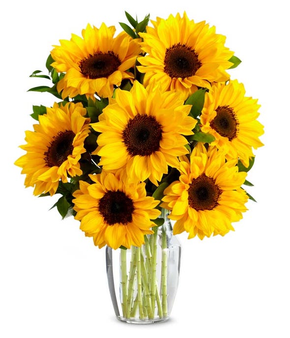 Sunflower Bouquet Sunflower Delivery FromYouFlowers