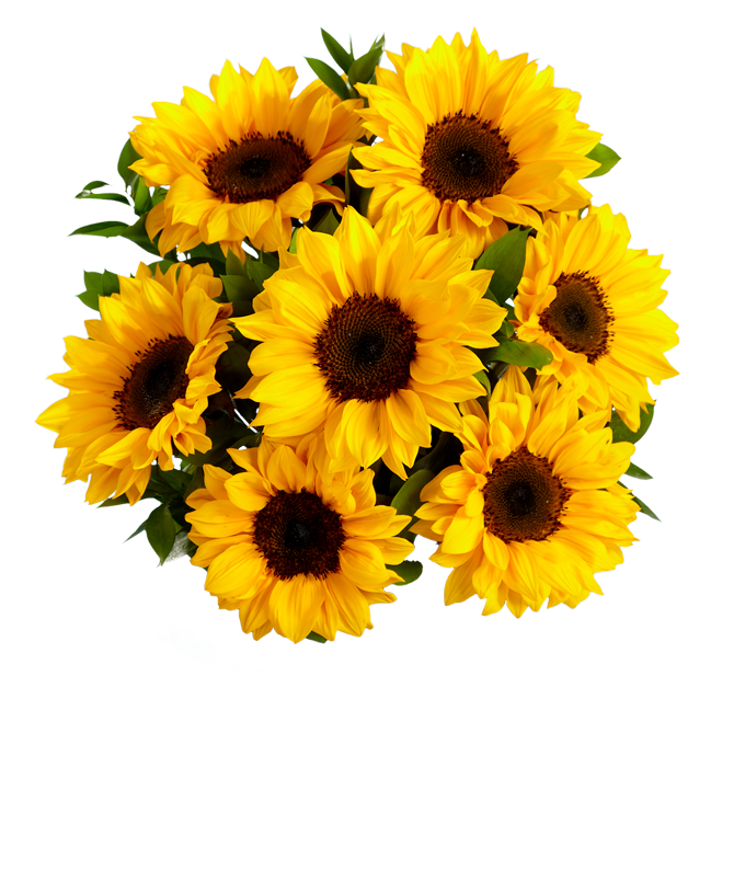 Sunflower Bouquet Sunflower Delivery FromYouFlowers