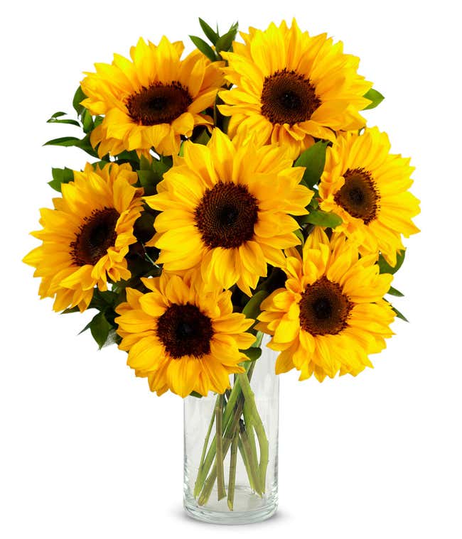A vibrant arrangement featuring yellow sunflowers and golden solidago, optionally presented in a vase. This bright and cheerful display brings a touch of sunshine and warmth to any occasion. 