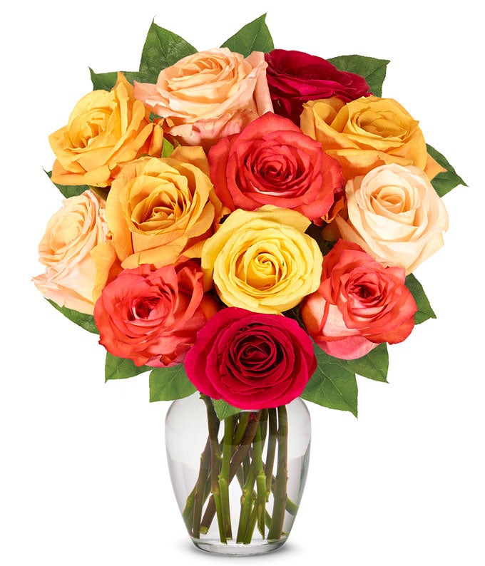 One Dozen Rainbow Roses At From You Flowers