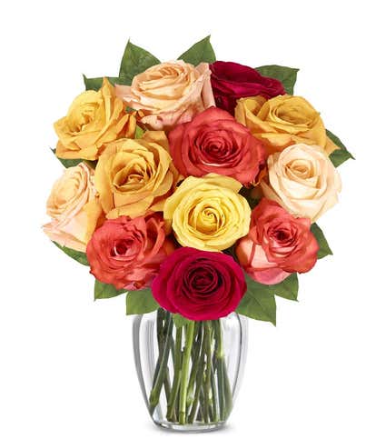 One Dozen Fall Roses
