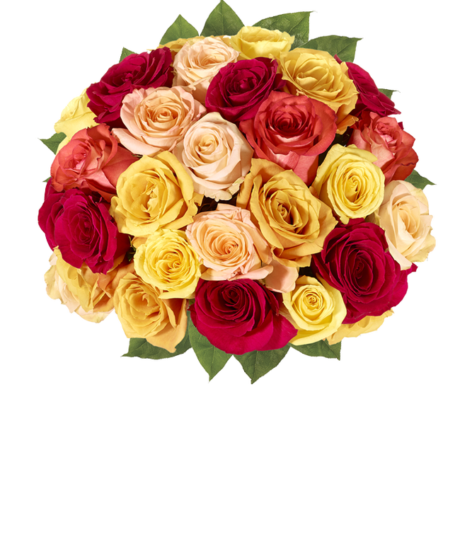 Partial image of Two dozen Autumn roses without vase.