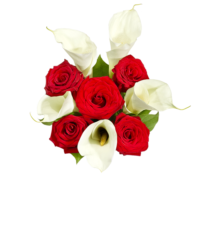 Growers Collection Flowers Direct FromYouFlowers 2