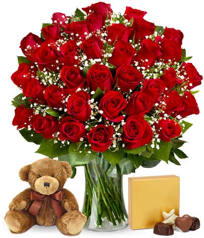 Three Dozen Red Roses with Bear & Chocolates