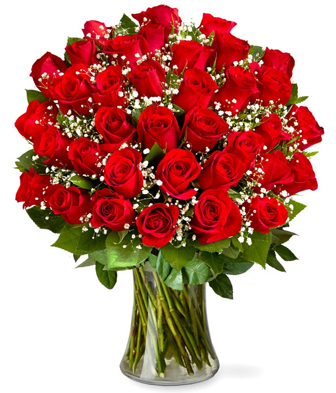 Rose flower best sale for girlfriend