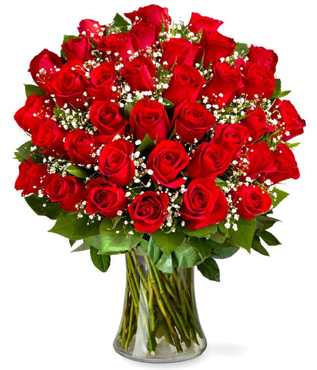 Three dozen red roses with babies breath in a clear glass gathering vase