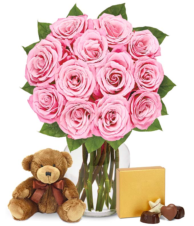 don avalon rose teddy bear