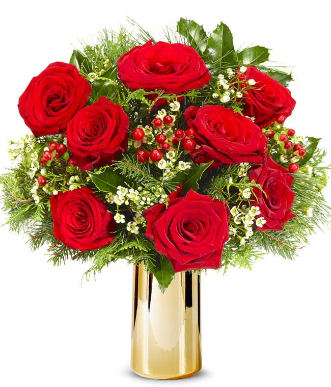 Red Rose Winter Elegance - Premium