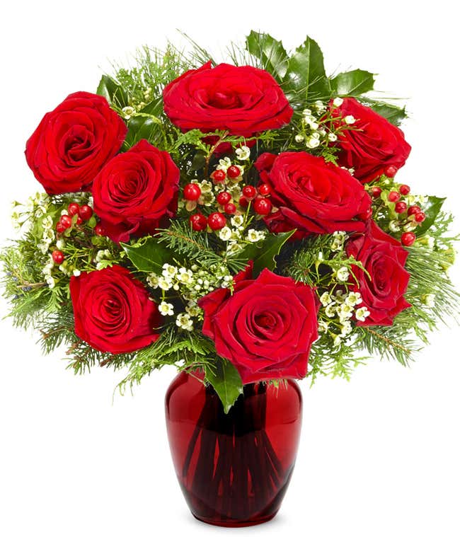 Red Rose Winter Elegance - Premium