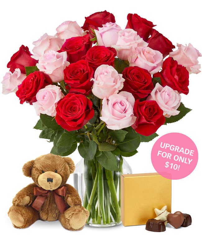 One Dozen Red and Pink Roses + Chocolates + Bear