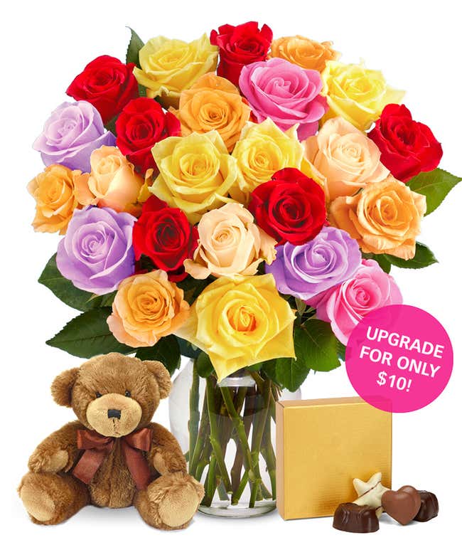 Two Dozen Rainbow Roses + Godiva + Bear