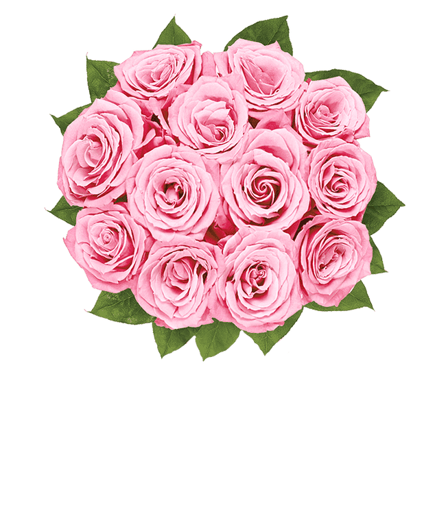 Partial image of One Dozen Light Pink Breast Cancer Awareness Roses without vase