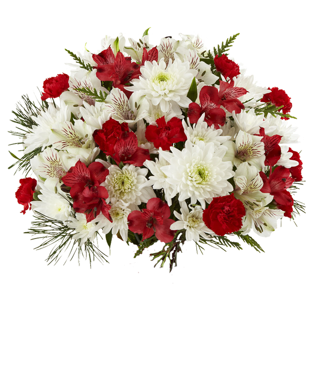 Partial image of An arrangement featuring white alstroemeria, red alstroemeria, white cushion spray mums, red mini carnations, assorted Christmas greens, with an optional glass vase, ideal for adding festive charm and elegance. without vase.