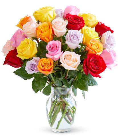 Two Dozen Rainbow Roses