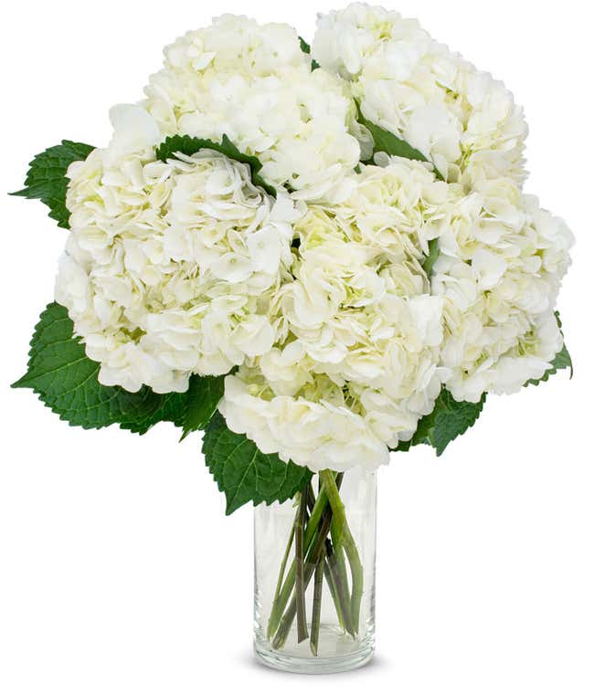 White Hydrangea Bouquet