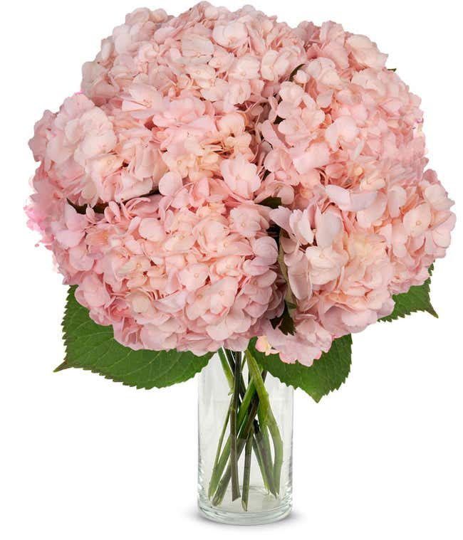Pink Hydrangea Bouquet