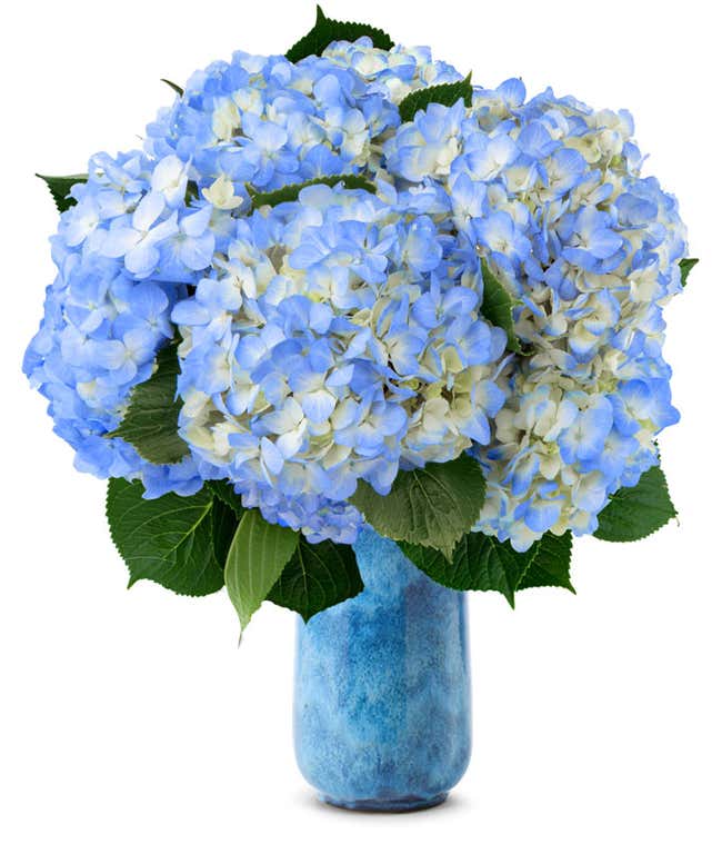Blue Hydrangea Bouquet