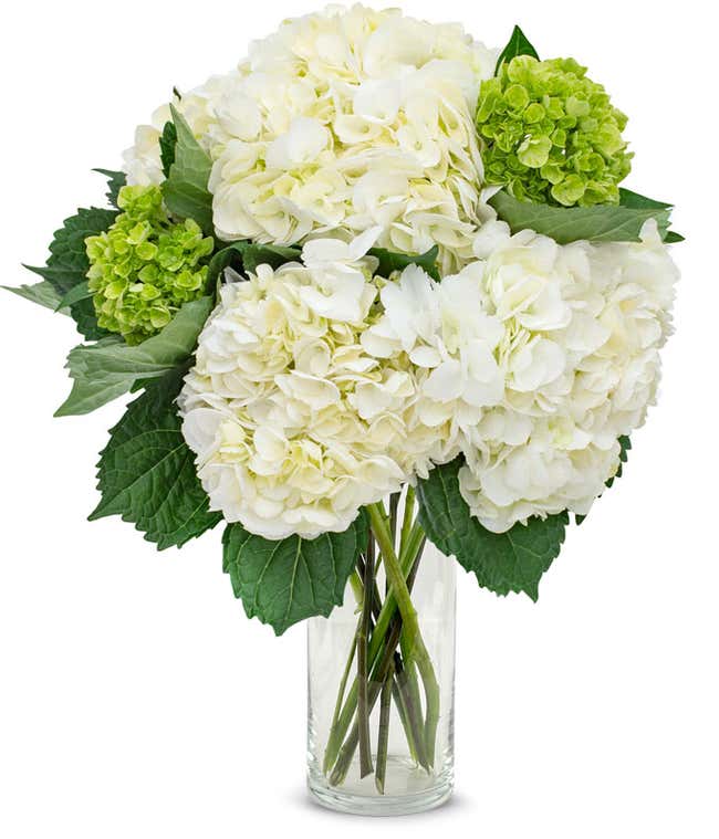White &amp; Mini Green Hydrangea Bouquet