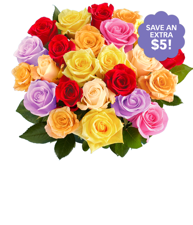 Partial image of Two Dozen Rainbow Roses for Mom  without vase.