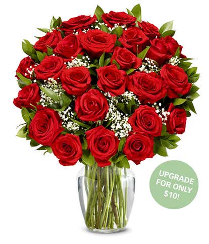 One Dozen Premium Long Stem Red Roses