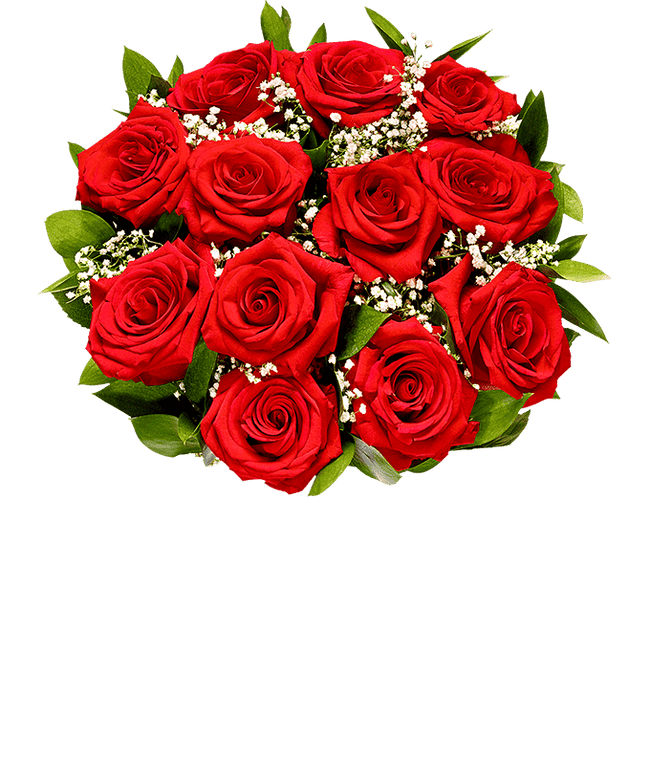 Partial image of One Dozen Premium Long Stem Red Roses without vase