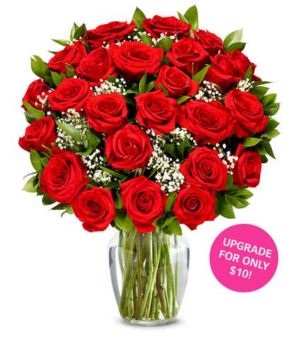 Two Dozen Premium Long Stem Red Roses