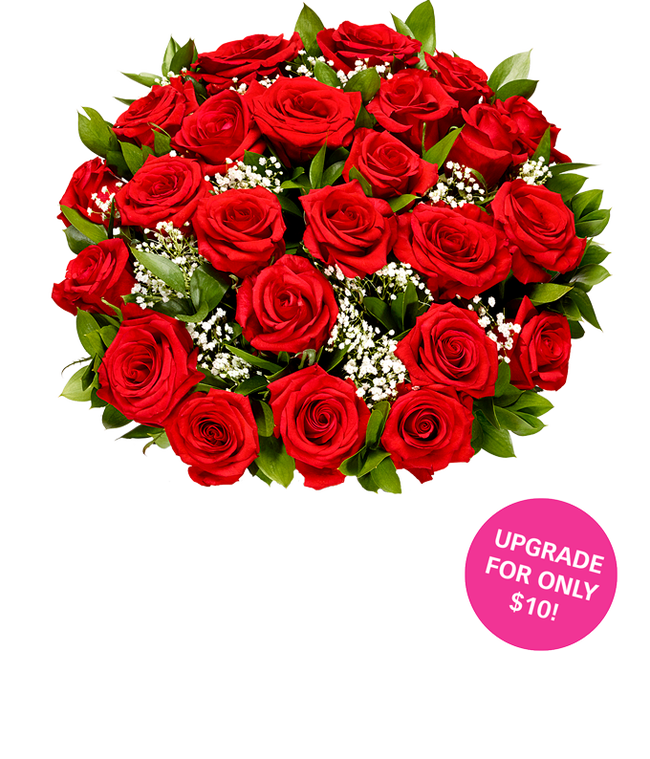 Partial image of Two Dozen Red Long Stemmed Roses with Baby's Breath without vase.