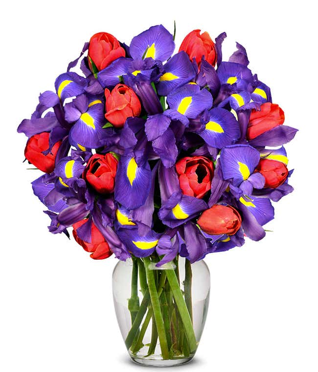 Dazzling Tulip &amp; Iris Bouquet