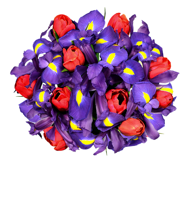 Partial image of Dazzling Tulip &amp; Iris Bouquet without vase.