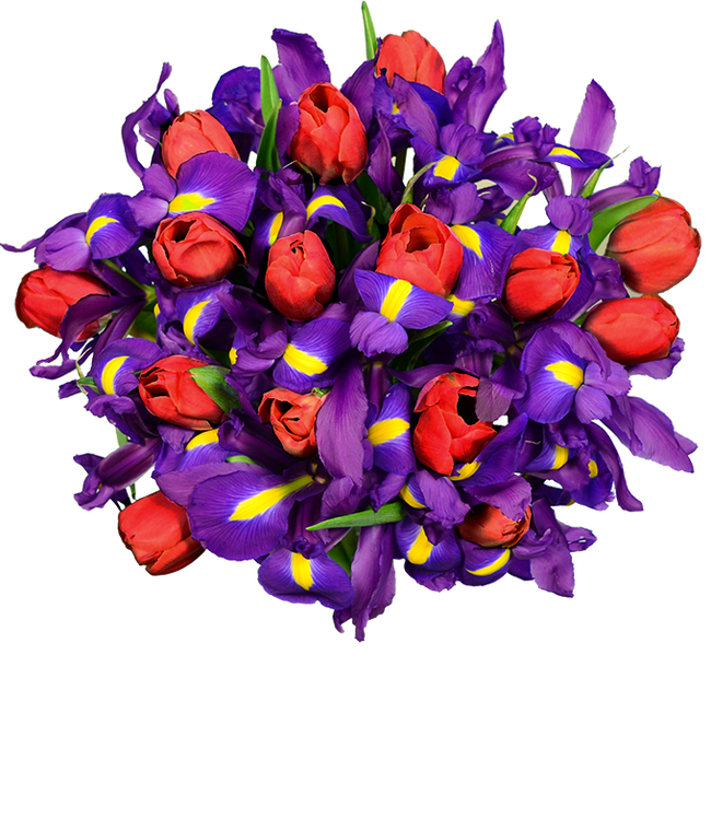 Partial image of Dazzling Tulip &amp; Iris Bouquet - Deluxe without vase.
