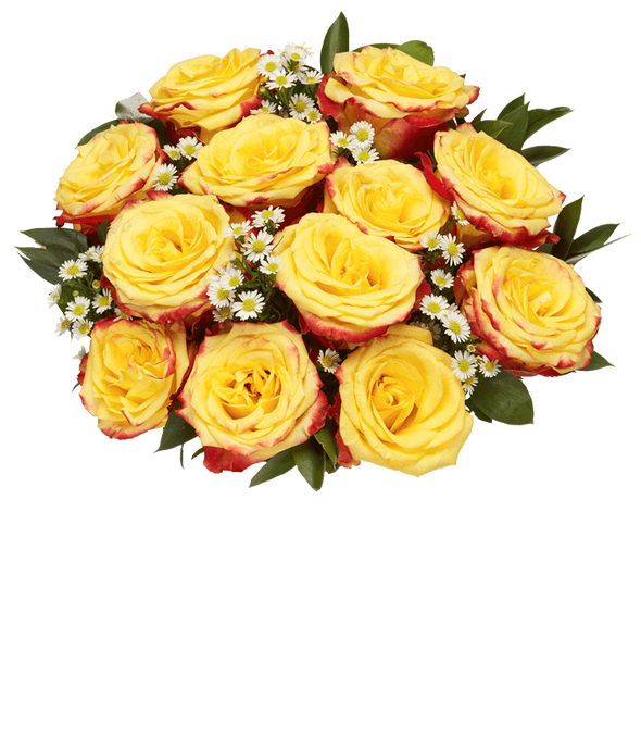 Yellow Roses Yellow Rose Delivery FromYouFlowers