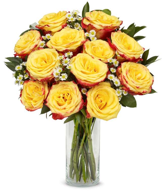 One Dozen Bi-Colored Roses