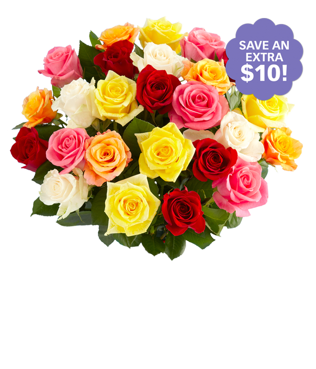 Partial image of Two Dozen Assorted Rainbow Roses without vase