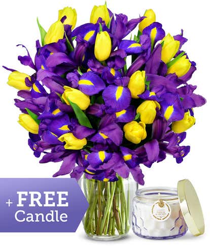 Premium Sunny Tulip & Iris with Free Candle