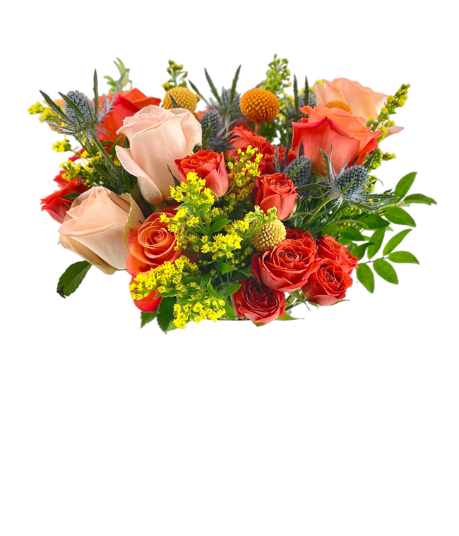 Partial image of  A vibrant floral arrangement featuring coral roses, peach roses, coral mini roses, yellow solidago, yellow craspedia, orange craspedia, and blue eryngium, complemented by a personal card message and optionally presented in a vase. without vase