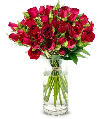 Checkers Roses Price Flower Specials at FromYouFlowers
