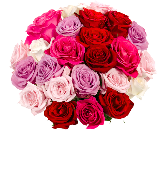 Partial image of Always and Forever Sweetheart Roses - Premium without vase.