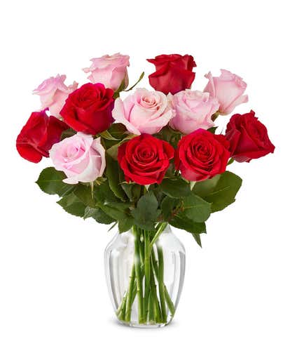 One Dozen Red & Pink Roses