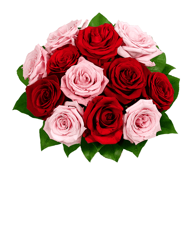 Partial image of One Dozen Forever and Always Roses without vase