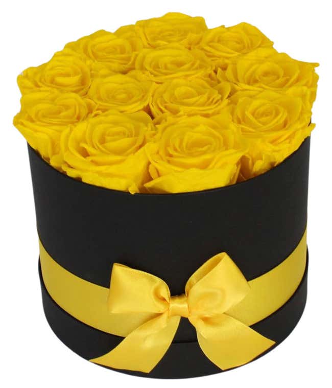 Luxury Dozen Preserved Yellow Roses