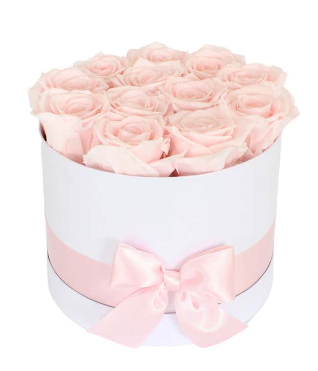 Luxury Dozen Preserved Champagne Pink Roses