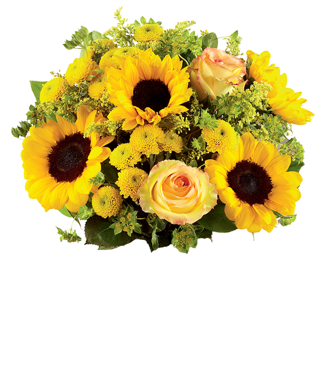 Partial image of Brilliant Sunflower and Rose Bouquet without vase
