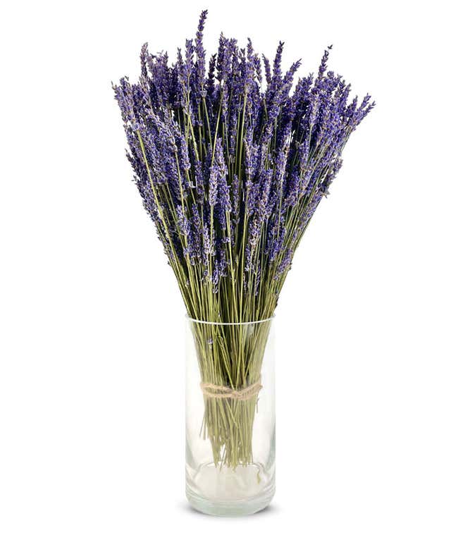 Lavender Fields Bouquet - Premium