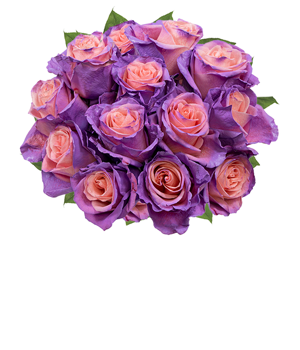 Rose Delivery, Send Roses, Roses Today FromYouFlowers 3