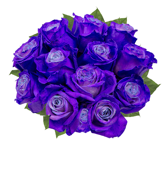 Partial image of One Dozen Radiant Purple Roses without vase