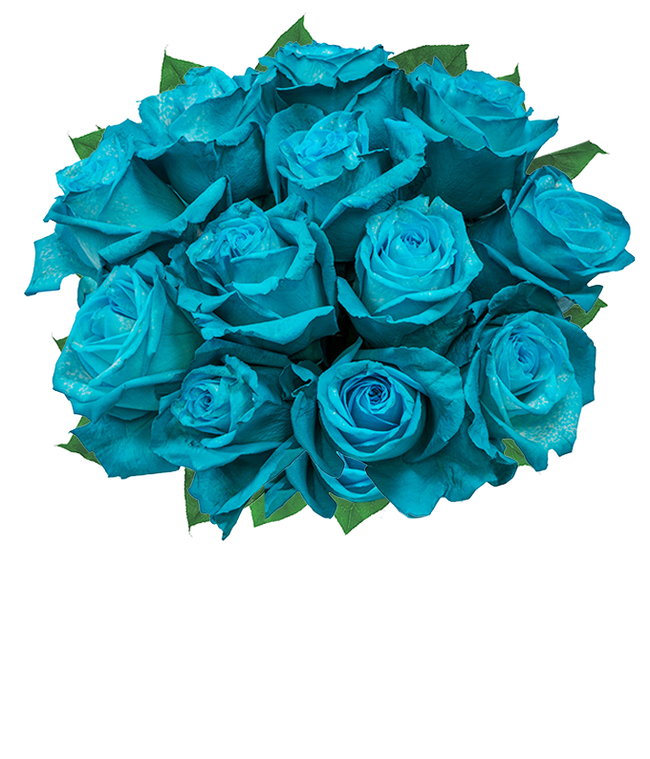 Partial image of One Dozen Teal Roses without vase