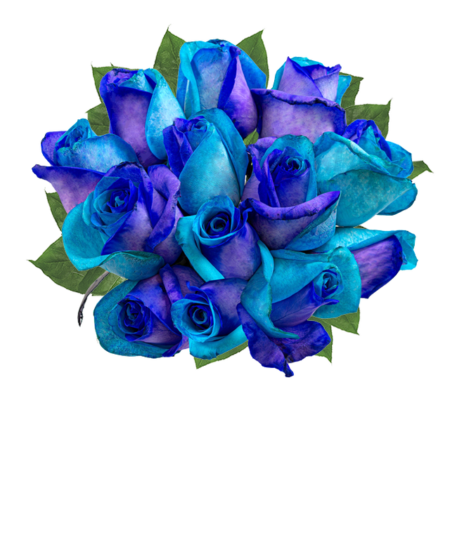 Partial image of One Dozen Ocean Blue Roses without vase
