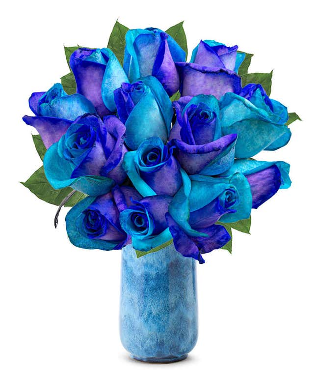 one dozen roses dyed half bright half dark blue in a clear glass vase